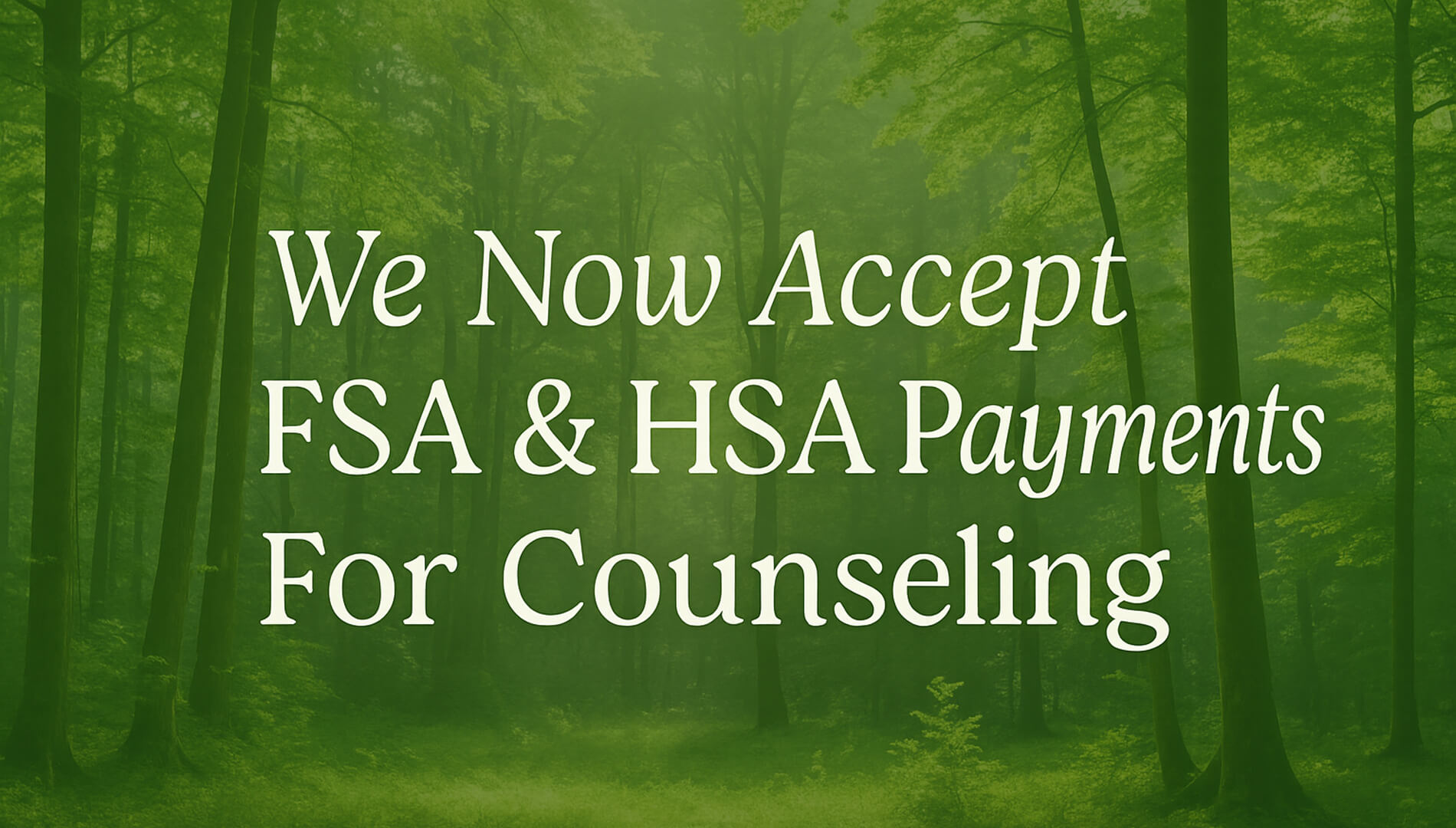 Christian Counseling and Wellness 17 We Now Accept FSA HSA Payments for Counseling